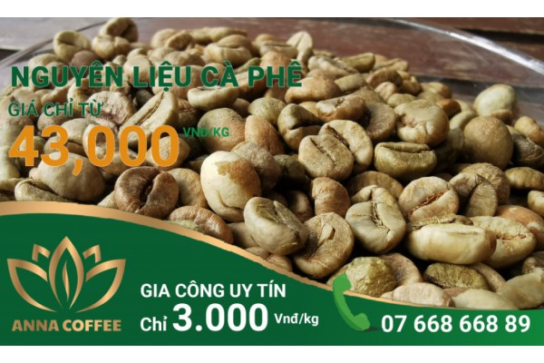 NGUYÊN LIỆU CÀ PHÊ CHỈ TỪ 43.000 Vnđ/kg